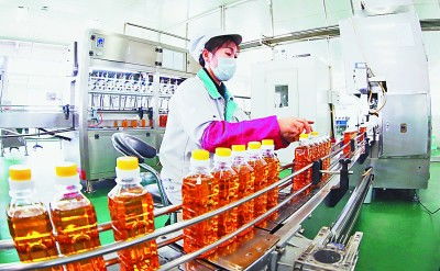 吉林 厚植黑土優勢，賦能農業升級，擘畫現代農業新藍圖