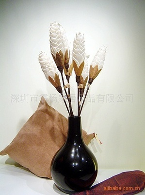 家居美學(xué)新藍(lán)海 高端植物干花與仿真花區(qū)域代理招募計劃